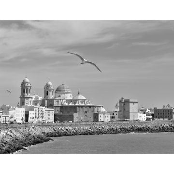 Lais Puzzle - Die Kuppel der Kathedrale von Cádiz (Catedral Nueva) an der Strandpromenade Campo del Sur in Cádiz, Andalusien in schwarz weiß - 1.000 Teile