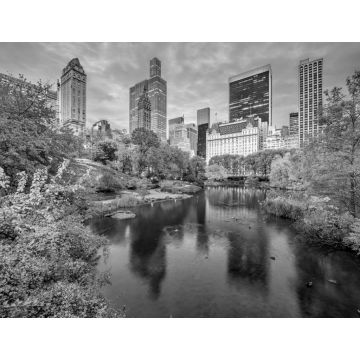 Lais Puzzle - Central Park New York im Herbst in schwarz weiß - 1.000 Teile