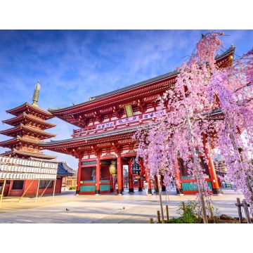 Lais Puzzle - Sensoji-Tempel in Asakusa, Tokio, Japan - 1.000 Teile