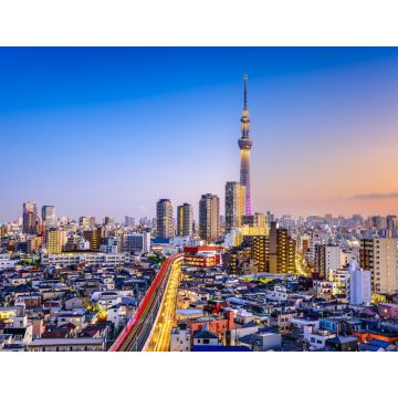 Lais Puzzle - Tokio, Japan Stadtbild - 1.000 Teile