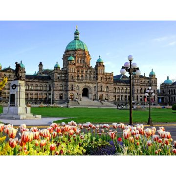 Lais Puzzle - Historisches Gebäude des Provinzparlaments von British Columbia mit Frühlingstulpen, Victoria, BC, Kanada - 1.000 Teile
