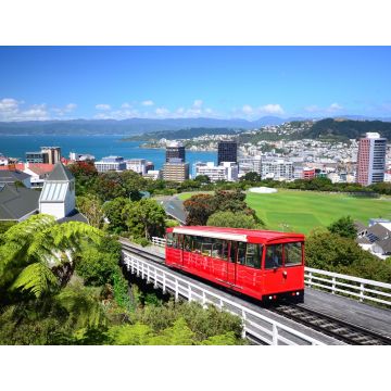 Lais Puzzle - Wellington Stadt - 1.000 Teile