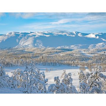 Lais Puzzle - Berglandschaft Telemark, Norwegen - 1.000 Teile