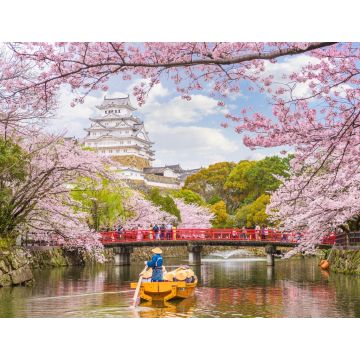 Lais Puzzle - Burg Himeji, Japan im Frühling - 1.000 Teile