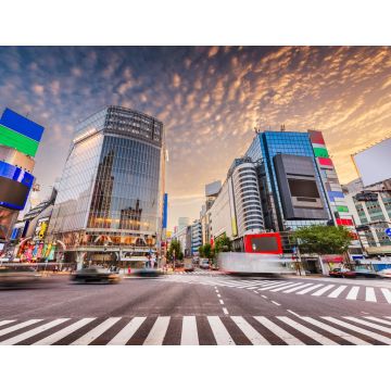 Lais Puzzle - Shibuya-Kreuzung, Tokio, Japan - 1.000 Teile