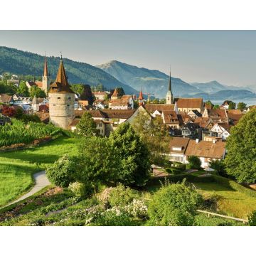 Lais Puzzle - Stadt Zug - 1.000 Teile