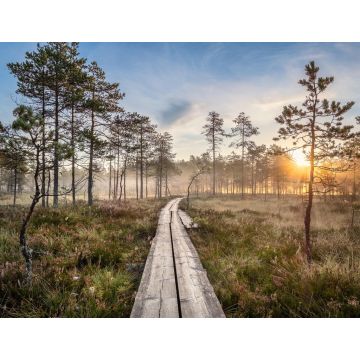 Lais Puzzle - Aussicht vom Sumpf mit Holzpfad und schönem Sonnenaufgang am Herbstmorgen in Finnland - 1.000 Teile