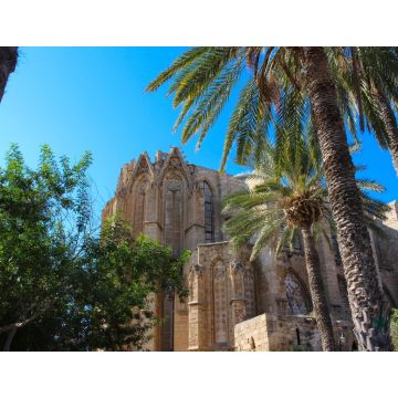 Lais Puzzle - Blick von unten durch die Palmen auf die Lala Mustafa Pascha Moschee (ehemalige St. Nicholas Kathedrale). Famagusta. Zypern - 1.000 Teile