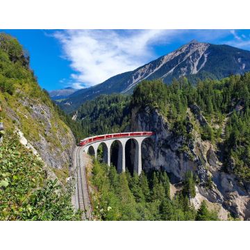 Lais Puzzle - Landwasserviadukt in Fillisur an einem schönen Sommertag, Graubünden, Schweiz - 1.000 Teile