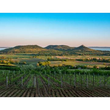 Lais Puzzle - Weinberge und der Berg Badacsony mit dem Plattensee bei Sonnenuntergang in Ungarn - 1.000 Teile