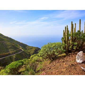 Lais Puzzle - Sendero Arena Blanca, Artenara, Gran Canaria - 1.000 Teile