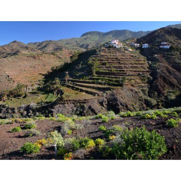 Lais Puzzle - Alojera im Westen von La Gomera - 1.000 Teile