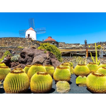 Lais Puzzle - Guatiza, Lanzarote - 1.000 Teile