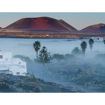 Lais Puzzle - Masdache, Lanzarote - 1.000 Teile