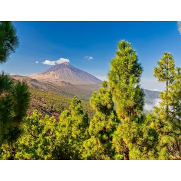 Lais Puzzle - Vulkan Teide - Aussicht von Mirador La Crucita, Teneriffa - 1.000 Teile