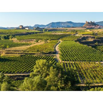 Lais Puzzle - Weinberg, La Rioja - 1.000 Teile