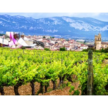 Lais Puzzle - Elciego, Rioja, Spanien - 1.000 Teile