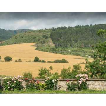Lais Puzzle - Goñi, Navarra, im Merindad Estella - 1.000 Teile