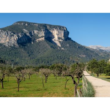 Lais Puzzle - Naturgebiet der Sierra de Tramuntana, Mallorca - 1.000 Teile