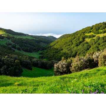 Lais Puzzle - El Hierro - 1.000 Teile