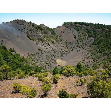 Lais Puzzle - Hoya de Fireba, El Hierro - 1.000 Teile