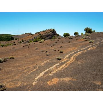 Lais Puzzle - Hoya de Fireba, El Hierro - 1.000 Teile