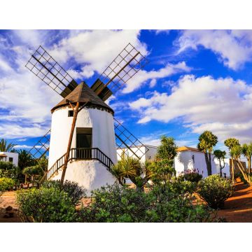 Lais Puzzle - Fuerteventura - traditionelle Windmühle im Dorf Antigua - 1.000 Teile