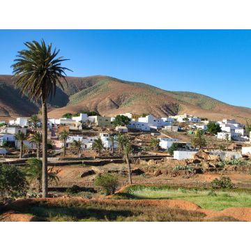 Lais Puzzle - Agua de Bueyes, Fuerteventura - 1.000 Teile