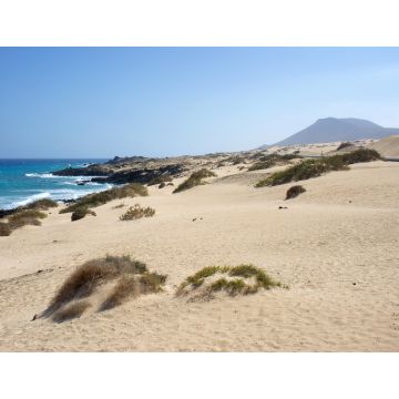 Lais Puzzle - Dunas de Corralejo, Fuerteventura - 1.000 Teile