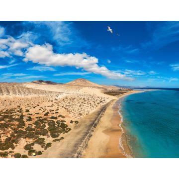Lais Puzzle - Sotavento, Fuerteventura - 1.000 Teile