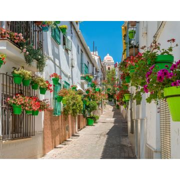 Lais Puzzle - Das schöne Estepona, eine kleine, blumenreiche Stadt in der Provinz Malaga, Spanien - 1.000 Teile