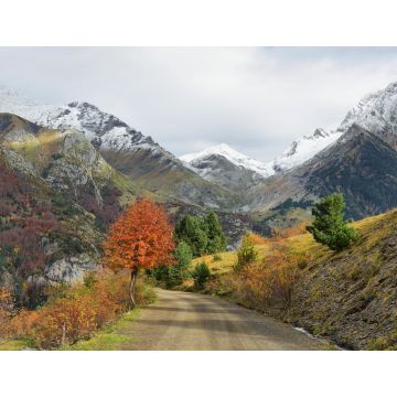 Lais Puzzle - Herbstszene im Tal von Bujaruelo, Provinz Huesca, Spanien - 1.000 Teile