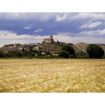 Lais Puzzle - Dorf Agon, Provinz Zaragoz, Aragonien, Spanien - 1.000 Teile
