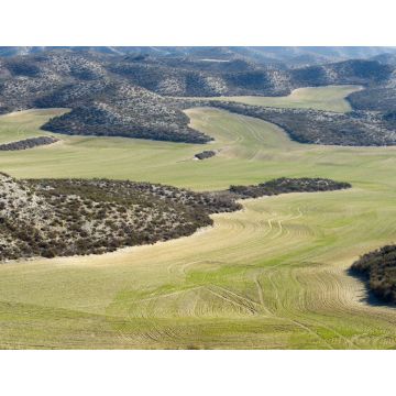 Lais Puzzle - Ackerland zwischen trockenen Hügeln in der Provinz Zaragoza, Aragon in Spanien - 1.000 Teile