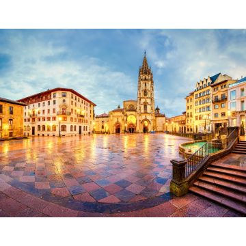 Lais Puzzle - Die Kathedrale von Oviedo, Spanien - 1.000 Teile