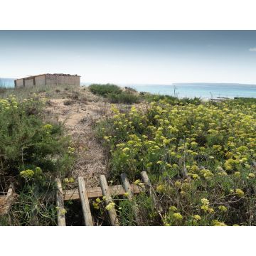 Lais Puzzle - Sant Ferran de ses Roques, Formentera Balearen Spanien  - 1.000 Teile