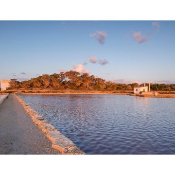 Lais Puzzle - Parc Natural de Ses Salines d'Eivissa i Formentera, Balearen, Spanien - 1.000 Teile