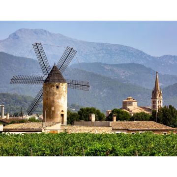 Lais Puzzle - Windmühle und Kirche, Weinberge, Binissalem, Serra de Tramuntana, Mallorca - 1.000 Teile