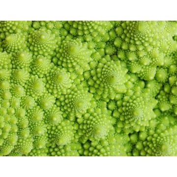 Lais Puzzle - Grünes Gemüse, Unmöglich - 1.000 Teile