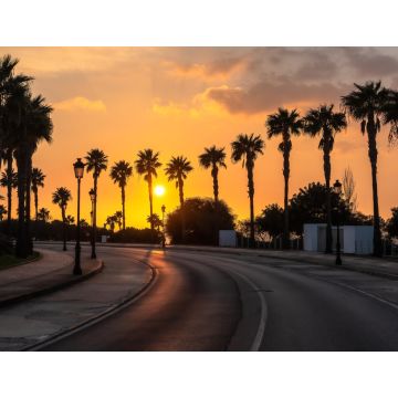 Lais Puzzle - Schöner Sonnenuntergang an einer palmengesäumten Küstenstraße von Conil de la Frontera in Südspanien - 1.000 Teile