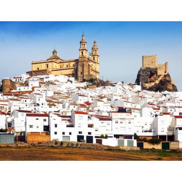 Lais Puzzle - Ansicht der alten andalusischen Stadt mit Kirche und Burg. Olvera, Spanien - 1.000 Teile