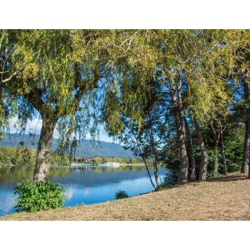 Lais Puzzle - Frankreich, Rhone / Alpen, Divonne-les-Bain - 1.000 Teile