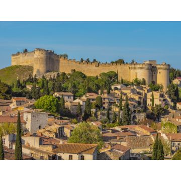 Lais Puzzle - Fort Saint-André à Villeneuve-lès-Avignon Frankreich - 1.000 Teile