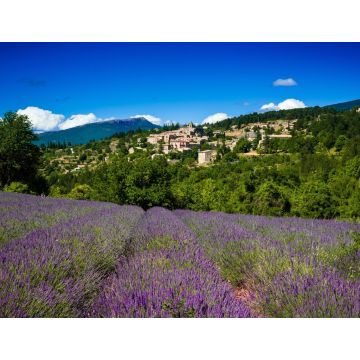 Lais Puzzle - Lavendelfeld vor dem Dorf Aurel, Frankreich - 1.000 Teile