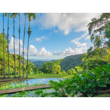 Lais Puzzle - Jardins de la Balata in Fort-De-France, Martinique - 1.000 Teile