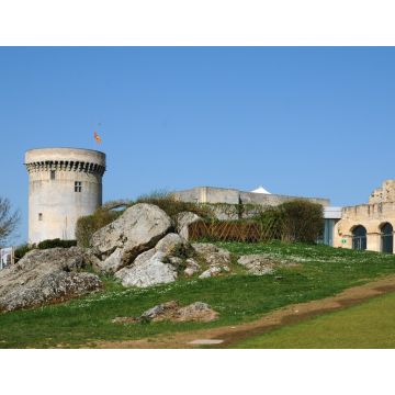 Lais Puzzle - Schloss von Falaise, Frankreich - 1.000 Teile