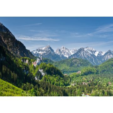 Lais Puzzle - Neuschwanstein und Hohenschwangau - 100, 200, 500 & 1.000 Teile