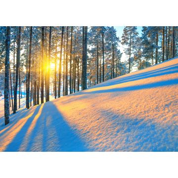 Lais Puzzle - Sonnenschein im winterlichen Wald - 100, 200, 500 & 1.000 Teile