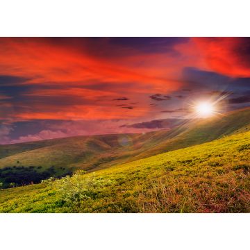 Lais Puzzle - Waldpanorama im Sonnenlicht - 100, 200, 500 & 1.000 Teile