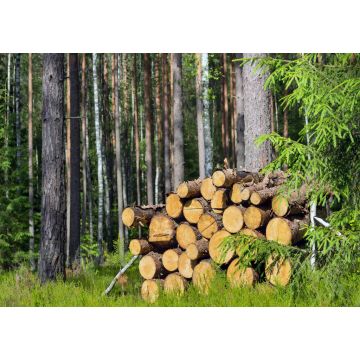 Lais Puzzle - Holzhaufen - 100, 200, 500 & 1.000 Teile